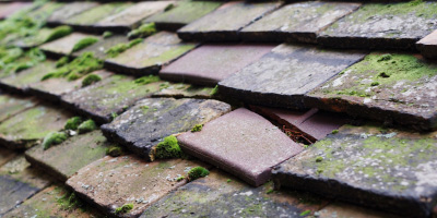 Thurgarton roof repair costs
